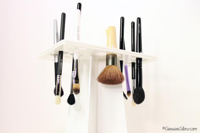 Benjabelle Daisy Brush Tree Review